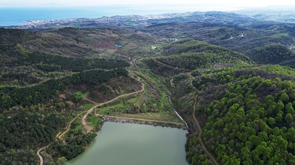 Foto - Bahar geldi doğa canlandı! İşte, tabloluk manzaralar