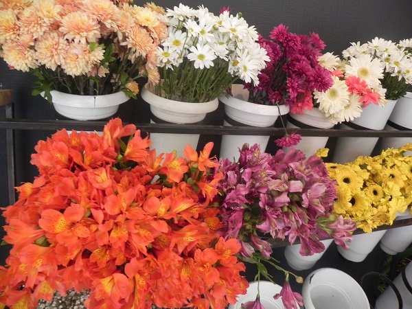 Foto - Bahar geldi talep arttı! 2 bin liraya alıcı buluyor