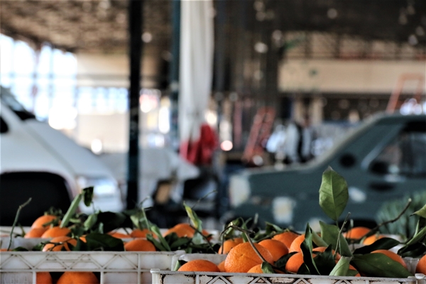 Foto - Bahar hareketliliği başladı... Fiyatlar yüzde 50 azaldı