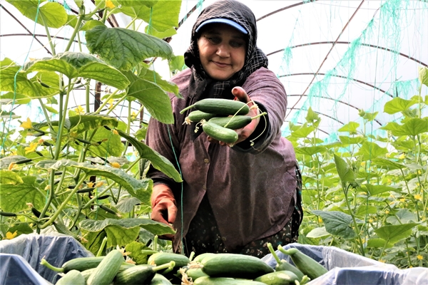 Bahar hareketliliği başladı... Fiyatlar yüzde 50 azaldı