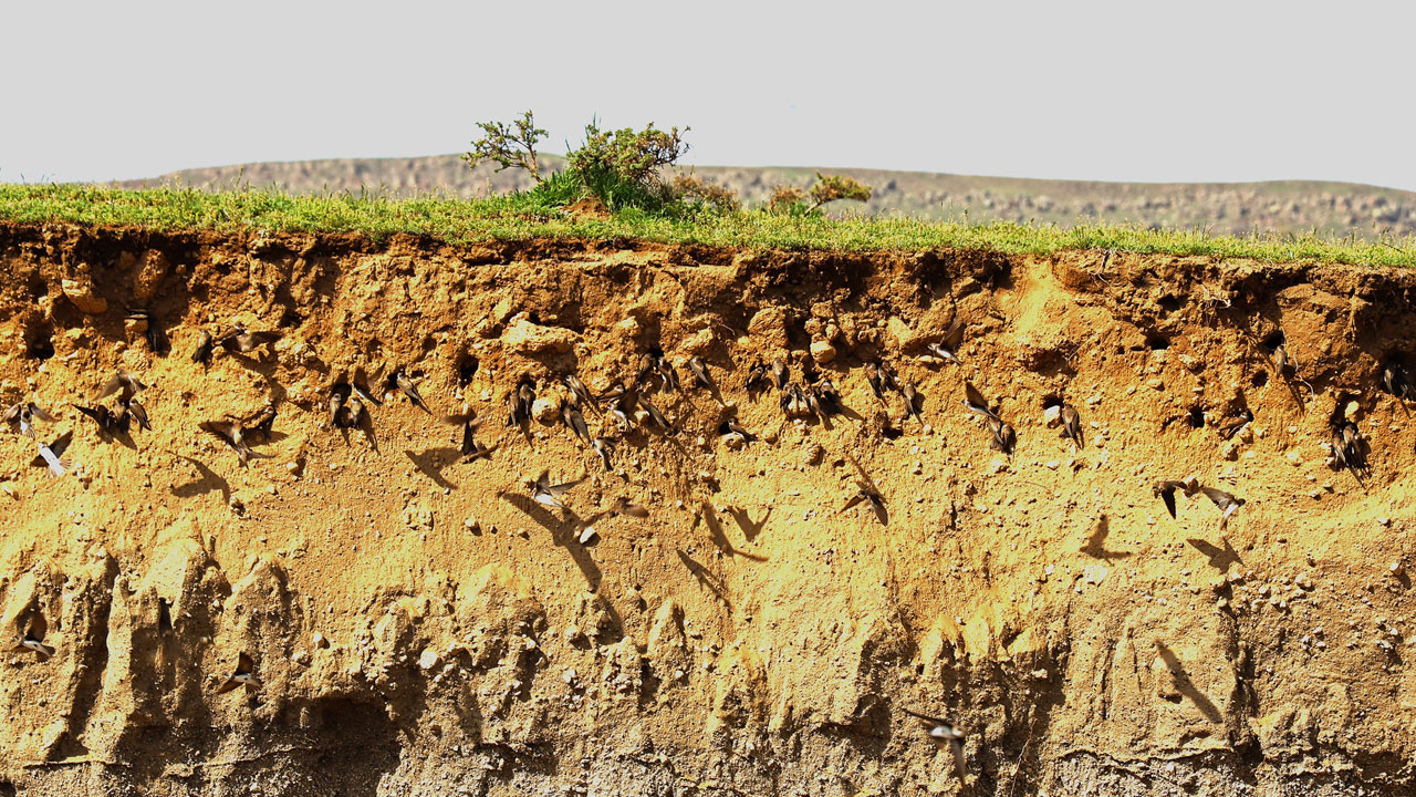 Bahar tüm güzelliğiyle geldi! O ilimizde belgeselleri aratmayan görüntüler kaydedildi
