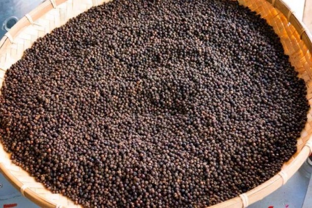 Foto - 'Baharatların Kralı' olarak biliniyor! Öksürüğü hemen kesmekte üstüne yok