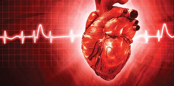 Foto - Baharda kalp sağlığını koruma yolları