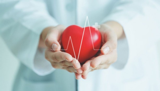 Foto - Baharda kalp sağlığını koruma yolları