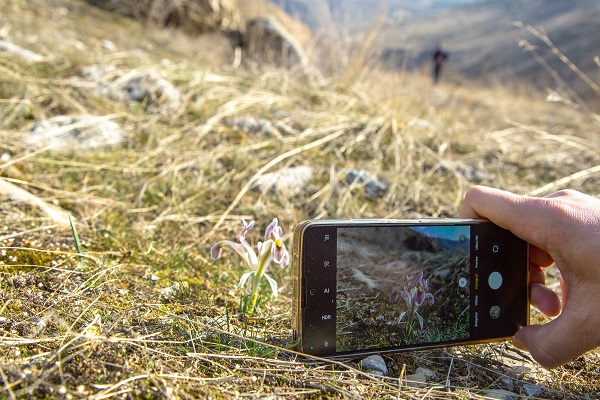 Foto - Baharın güzelliği nevruz çiçekleri mest etti