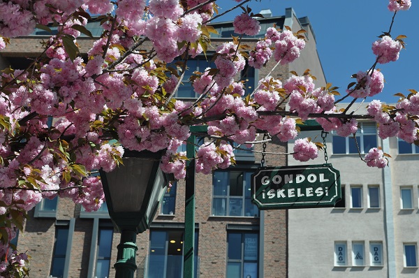 Foto - Baharın mest eden manzarası