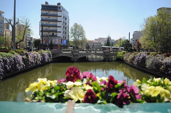 Baharın mest eden manzarası
