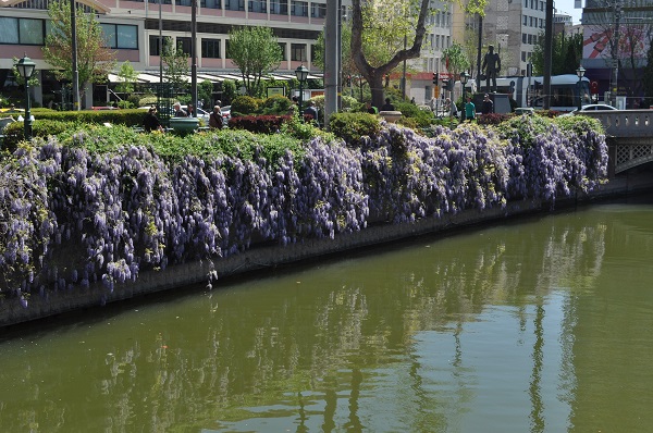 Foto - Baharın mest eden manzarası