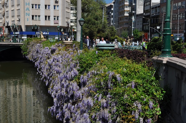 Foto - Baharın mest eden manzarası