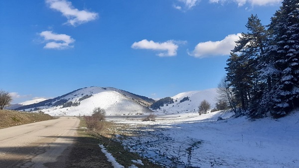 Foto - Baharın müjdecileri karlar arasında açtı