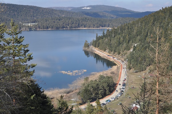 Foto - Baharın müjdecileri karlar arasında açtı