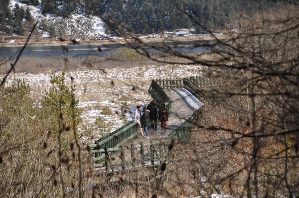 Foto - Baharın müjdecileri karlar arasında açtı