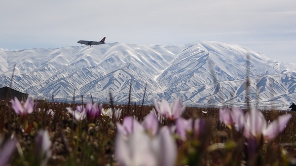 Baharın müjdecilerinden kartpostallık manzara