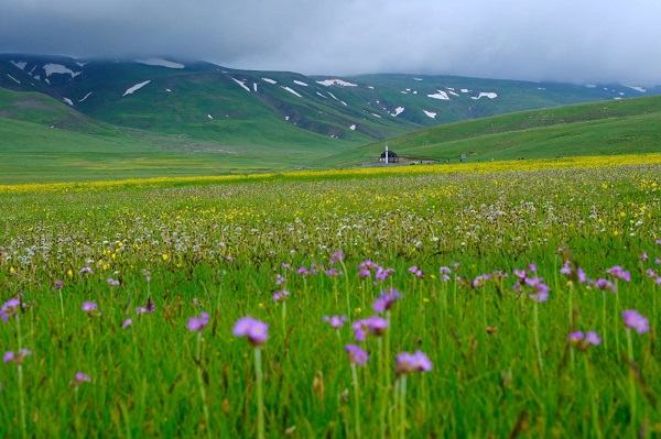 Foto - Baharın renkleri burada başka güzel: Cami Yurdu Yaylası 