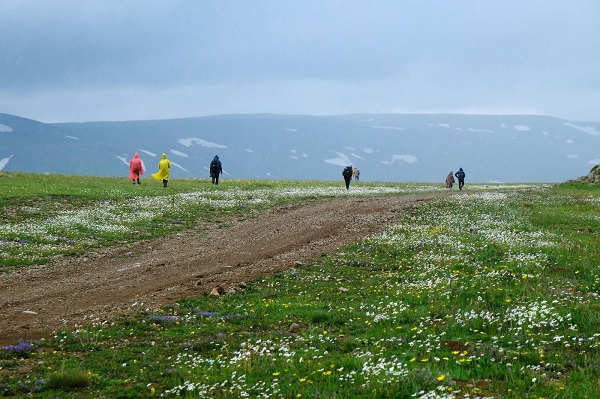 Foto - Baharın renkleri burada başka güzel: Cami Yurdu Yaylası 