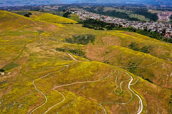 Foto - Baharın renkleri hayran bıraktı