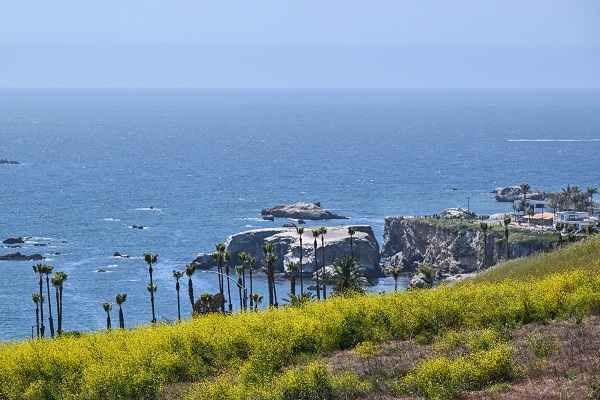 Foto - Baharın renkleri hayran bıraktı