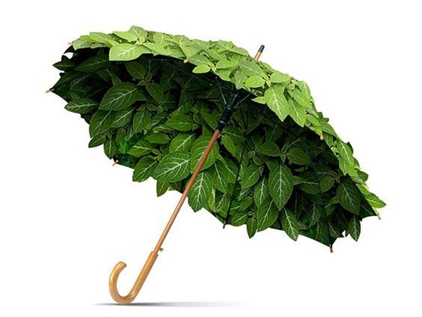 Foto - Baharın yeni modası