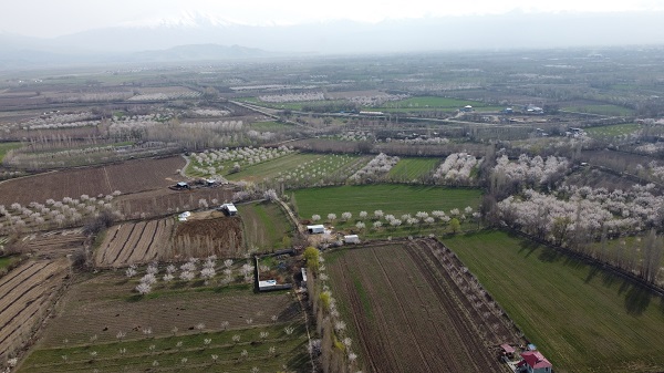 Foto - Baharla birlikte kartpostallık görüntüler