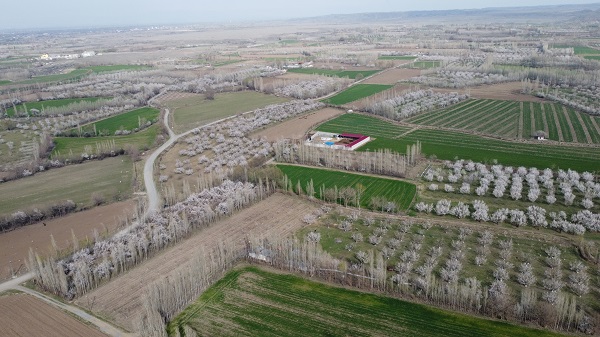 Foto - Baharla birlikte kartpostallık görüntüler