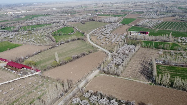 Foto - Baharla birlikte kartpostallık görüntüler