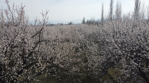 Foto - Baharla birlikte kartpostallık görüntüler