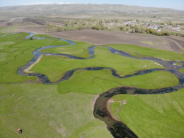 Foto - Baharla mest eden güzellik