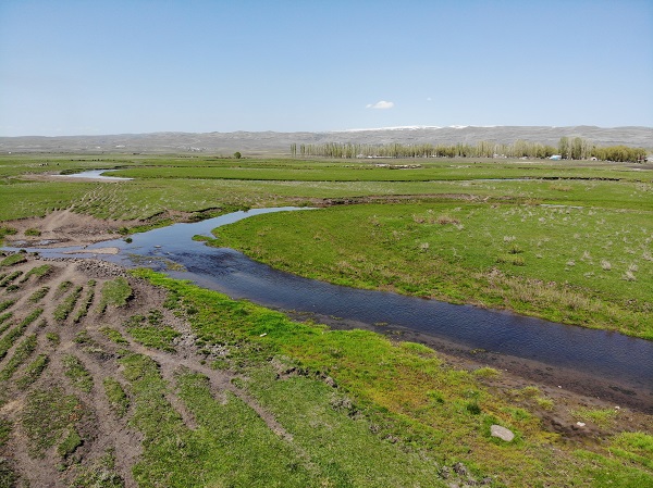 Foto - Baharla mest eden güzellik