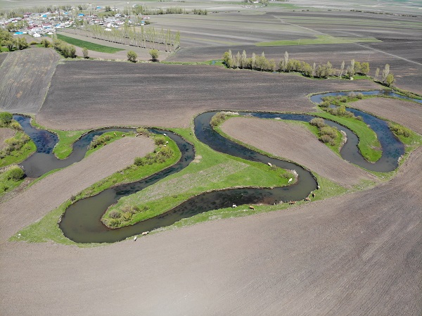 Foto - Baharla mest eden güzellik