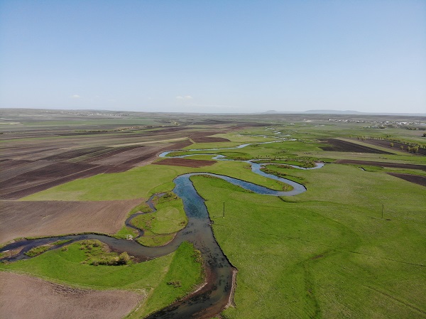 Foto - Baharla mest eden güzellik