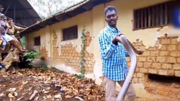 Foto - Bahçe duvarından öyle bir şey çıktı ki!