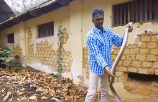 Foto - Bahçe duvarından öyle bir şey çıktı ki!