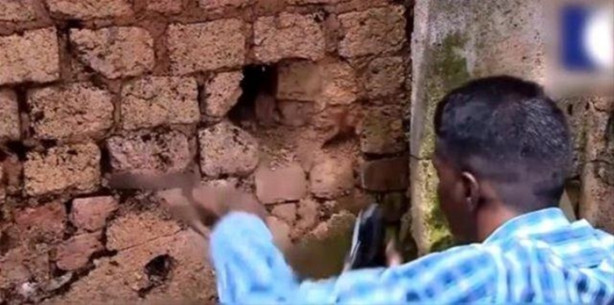 Foto - Bahçe duvarından öyle bir şey çıktı ki!