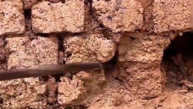 Foto - Bahçe duvarından öyle bir şey çıktı ki!