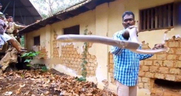 Foto - Bahçe duvarından öyle bir şey çıktı ki!