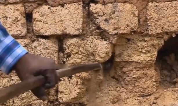 Foto - Bahçe duvarından öyle bir şey çıktı ki!