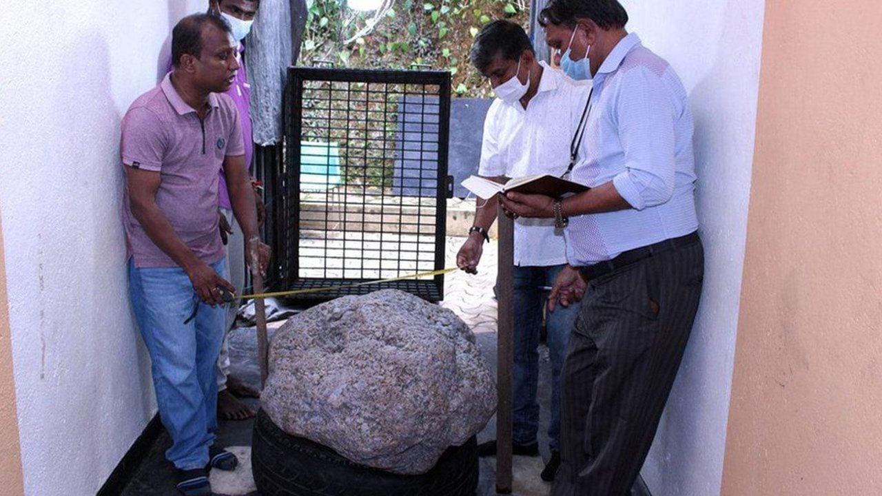 Foto - Bahçede kuyu kazarken servet buldular! Tamı tamına 510 kilo