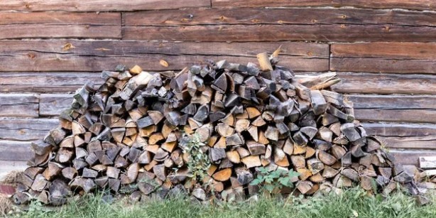 Foto - Bahçenizde bunlar varsa hemen söküp atın! Bu dört şey yılanları adeta mıknatıs gibi kendine çekiyor