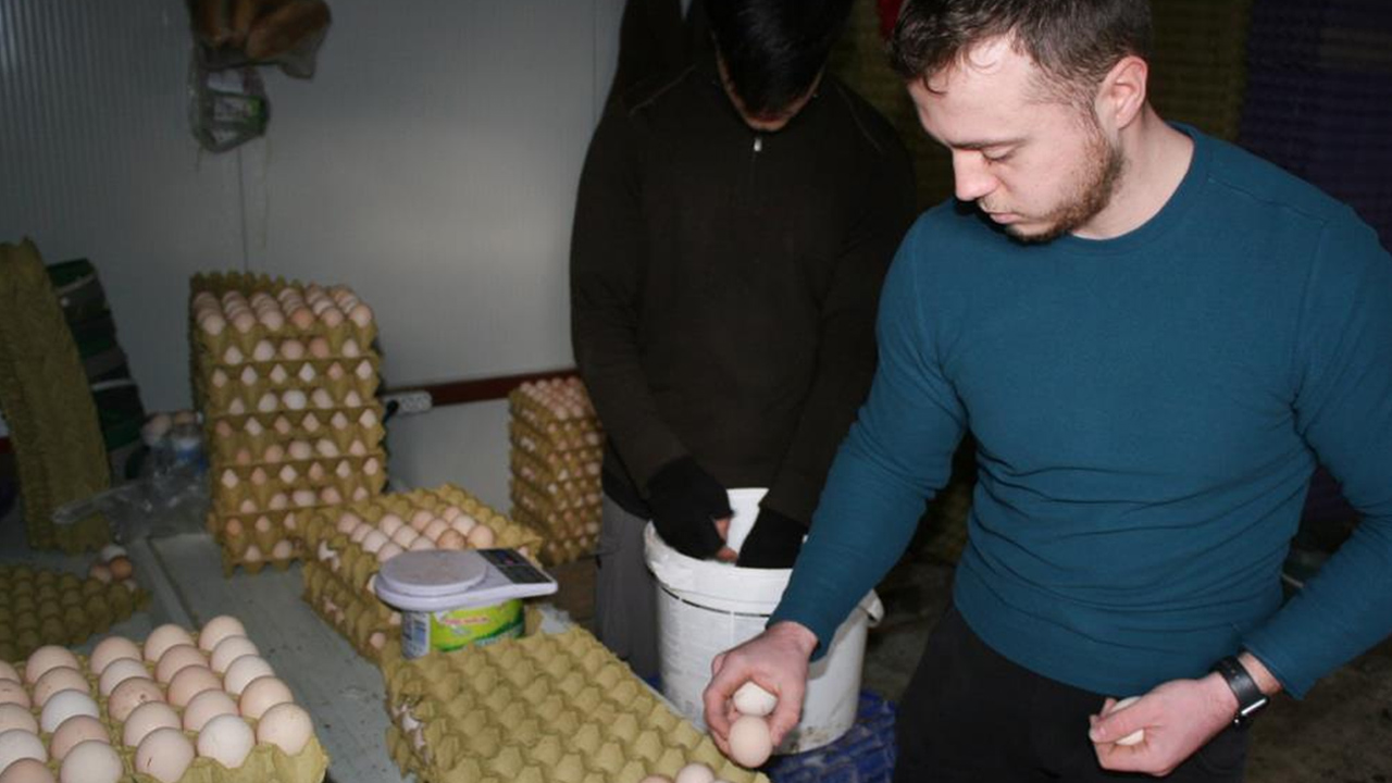 Foto - Bahçesinde hobi olarak başladı! Şimdi 3 bin adet var