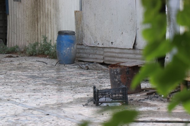 Foto - Bahçesinde kedi büyüklüğünde farelerin cirit attığı tesis, yaydığı kokuyla mahalleliyi bezdirdi