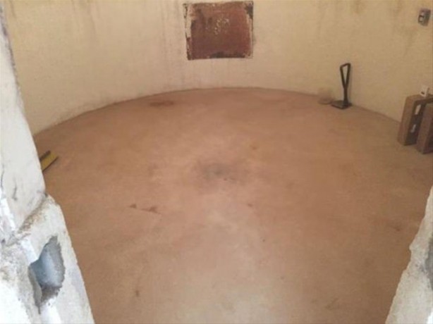 Foto - Bahçesinde öyle bir yer buldu ki...