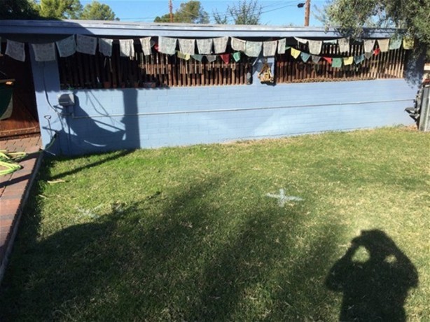 Foto - Bahçesinde öyle bir yer buldu ki...