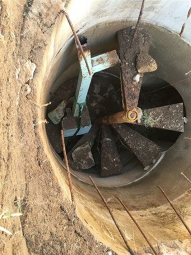 Foto - Bahçesinde öyle bir yer buldu ki...