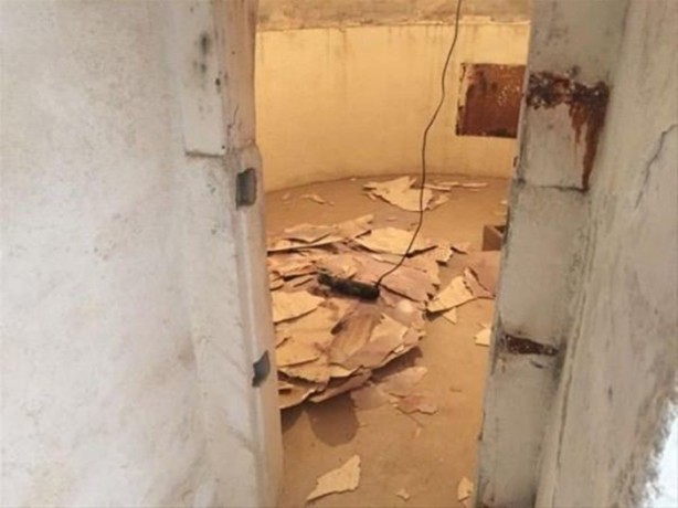 Foto - Bahçesinde öyle bir yer buldu ki...