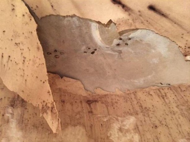 Foto - Bahçesinde öyle bir yer buldu ki...