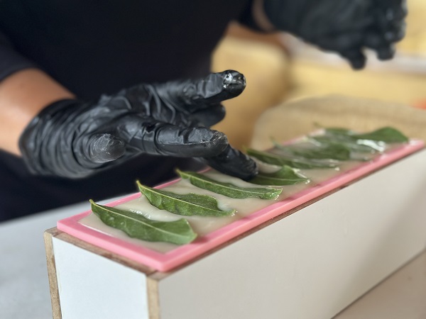 Foto - Bahçesinde yetiştiriyor! Bu sabun sivilce lekelerini yok ediyor