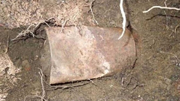 Bahçesindeki ağacın altında şans eseri buldu! Varilin içinden çıkanlar bir aileyi zengin etti, herkes şaşkın