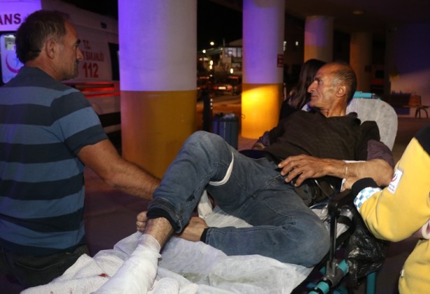 Foto - Bahçesinden elma toplamaya giden vatandaşa ayı saldırdı