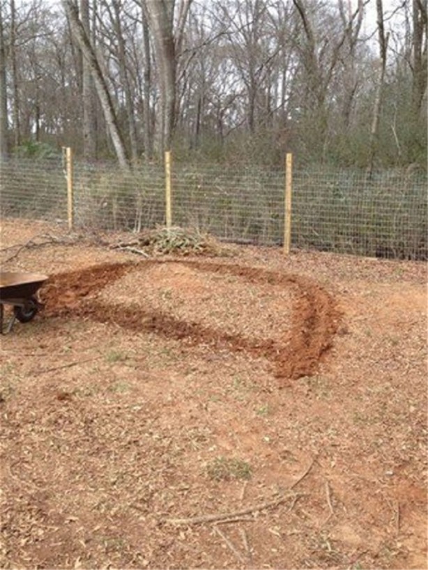 Bahçesinden sıkıldı ve...