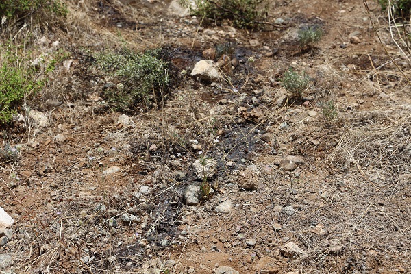 Foto - Bahçesini sularken fark etti! Esrarengiz kokunun korkunç sırrı ortaya çıktı